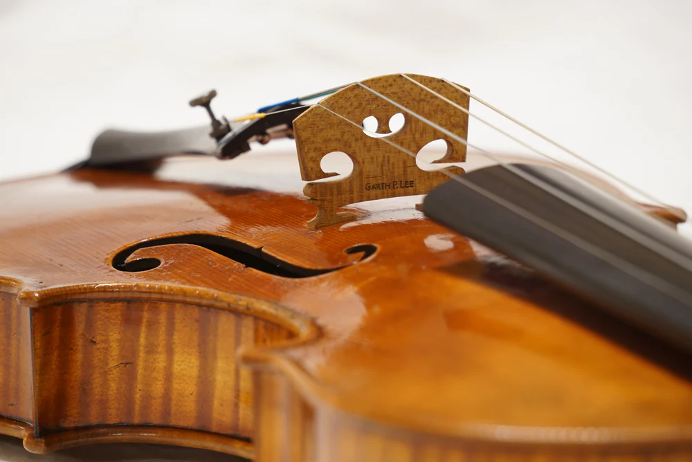 Symphony of Style